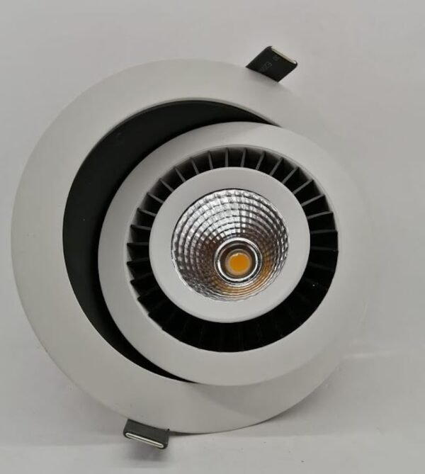 70431 DL RE SL12W 3000k Module Led Spotlight with adjustable face ring